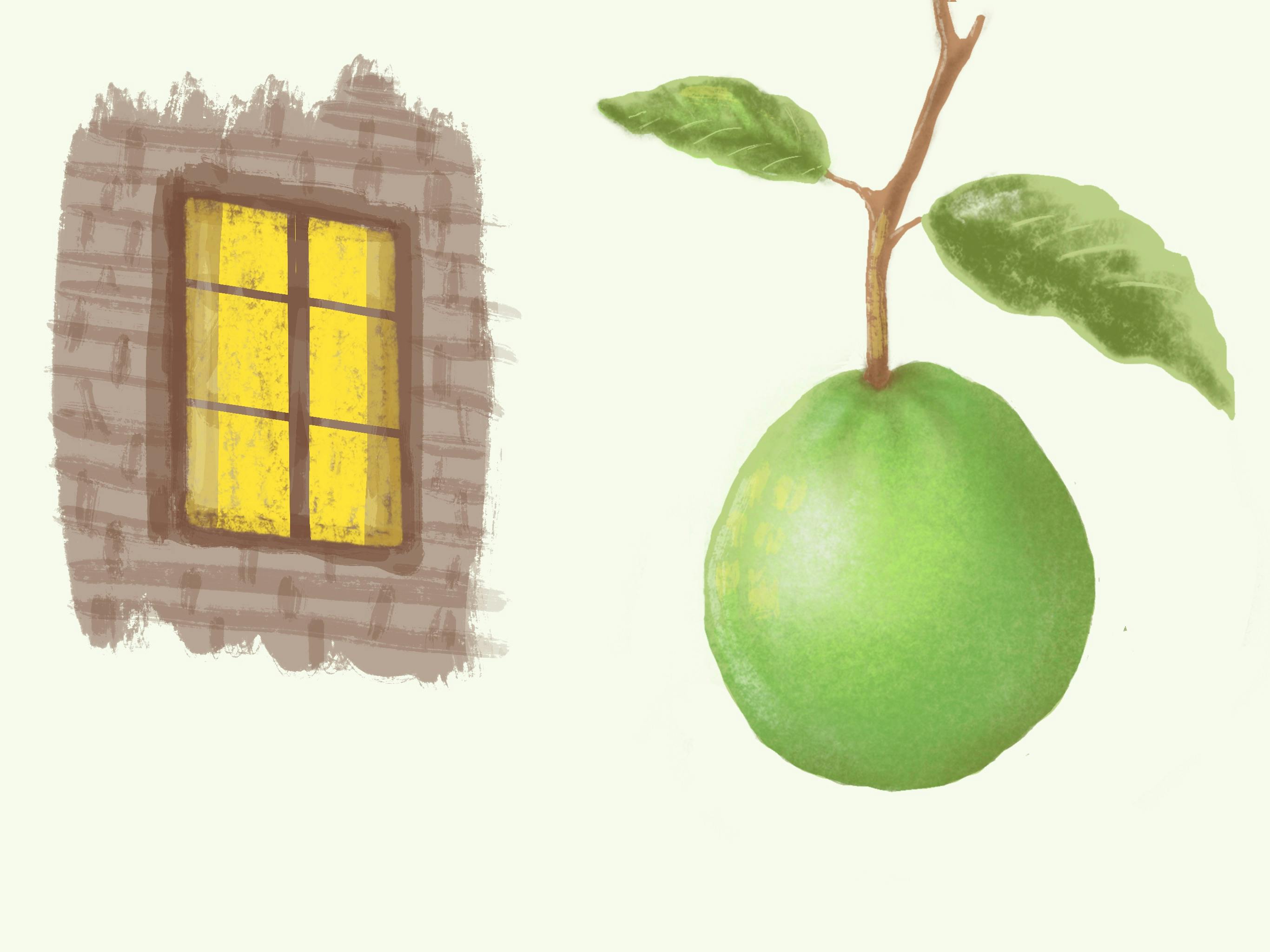 guava small