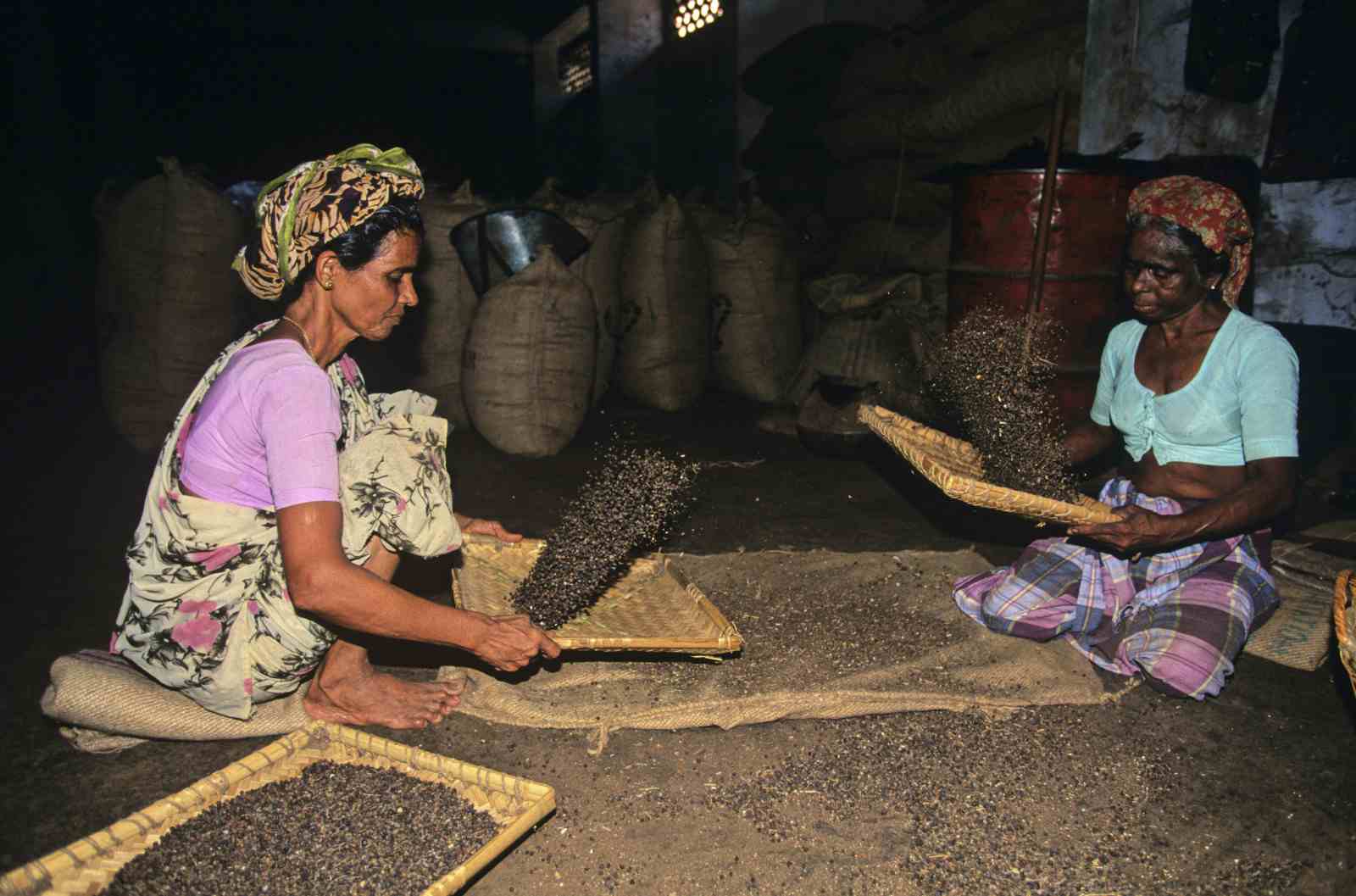 Calicut, India has a long spice trading history, exporting black pepper and other spices (Soltan Frédéric/Sygma via Getty Images)