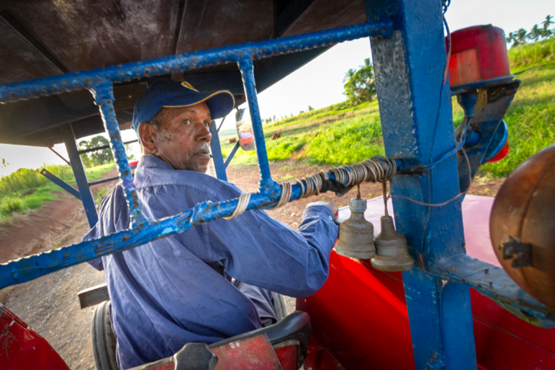 Bansi Lal cut cane for most of his life and now drives the tractor that pulls the loaded cane trucks to the rails for transportation to the Labasa mill. (Preston Merchant)